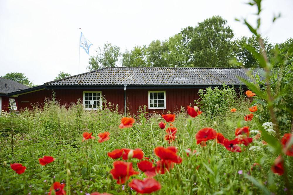 Kerteminde Hostel Exteriér fotografie